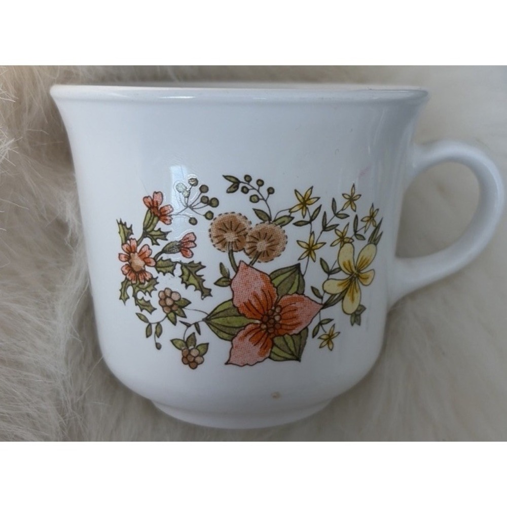 Corelle INDIAN SUMMER CUPS Corning COFFEE TEA AUTUMN Dish Vintage 90s 80s Mcm